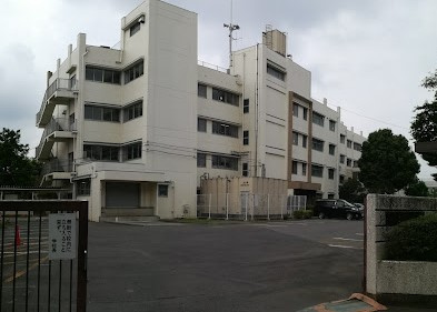 の画像
