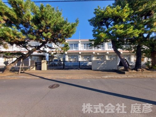 の画像