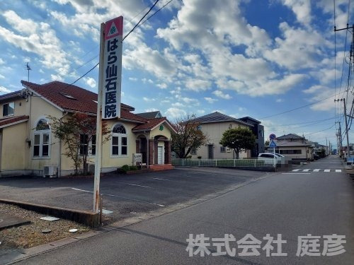 の画像