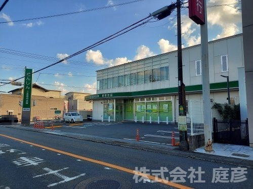 の画像