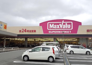 マックスバリュ太子橋店の画像1