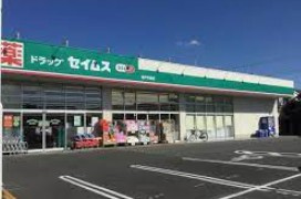 ドラッグセイムス坂戸中富店の画像1