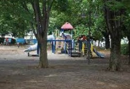 中富町公園の画像1