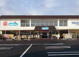 ウエルシア坂戸薬師町店の画像1