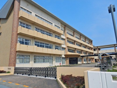 の画像