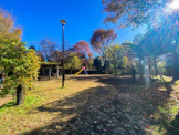 杉並区立高井戸藤が丘公園