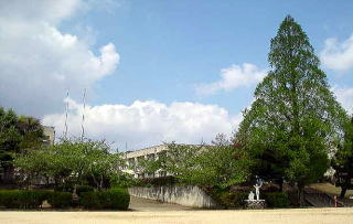 吹田市立桃山台小学校の画像1