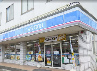 ローソン 海老名河原口店の画像1