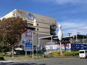 ホームセンターコーナン 湘南藤沢店の画像1