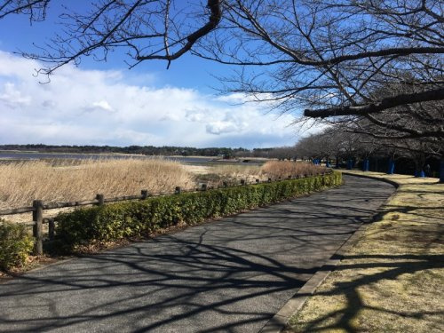 多々良沼公園の画像