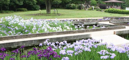 山崎公園の画像1