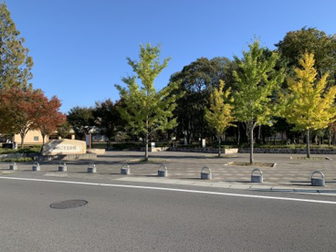 前橋こども公園の画像1
