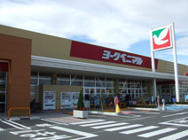 ヨークベニマル石橋店
