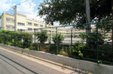 桃園第二小学校