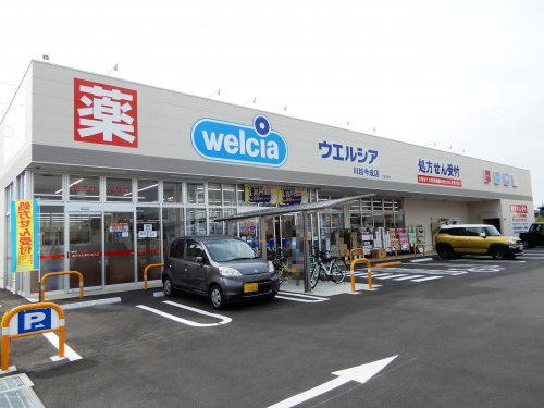 の画像