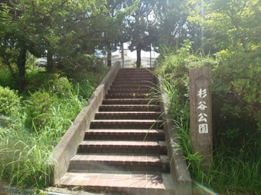 杉谷公園の画像1