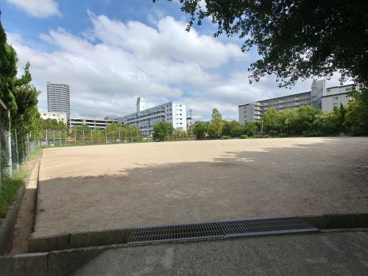 杉谷公園の画像2