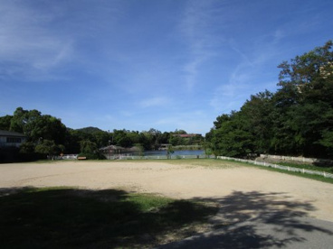 大池公園の画像3