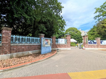 国立大学法人東京藝術大学の画像1