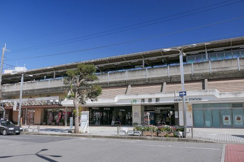 の画像