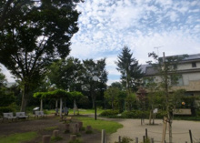 公園 与謝野公園