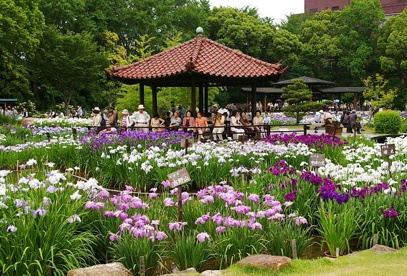 城北公園の画像1