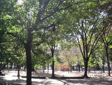 十三公園の画像1