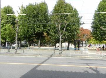 新駅8号公園の画像1