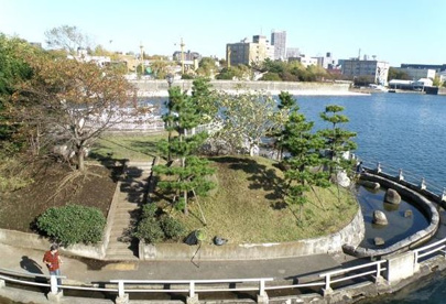 中の島公園の画像1