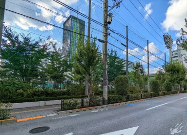 文京区小石川運動場の画像1
