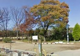 西淀公園