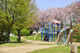 根ケ谷戸公園の画像