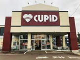 キューピット　長潟店