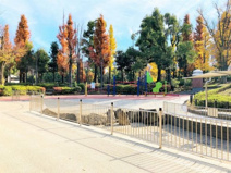 文京区立教育の森公園