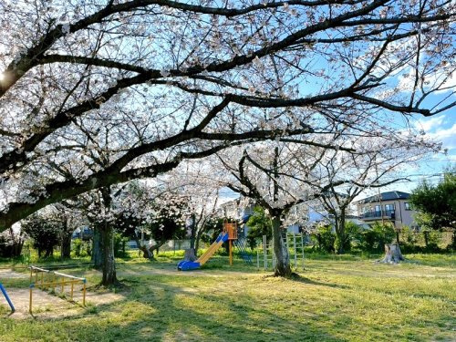 城西公園の画像