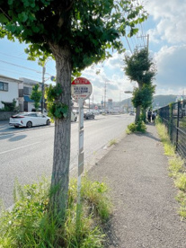 バス停(佐原3丁目)の画像1