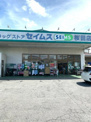 ドラッグストアセイムス桜田店
