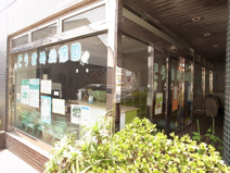 そらまめ幼保園