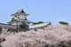 金沢城公園の画像