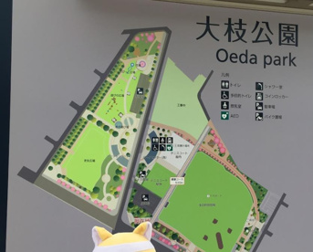 大枝公園多目的球技場の画像1