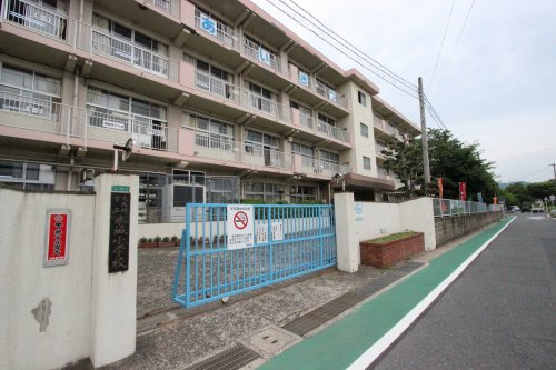 の画像