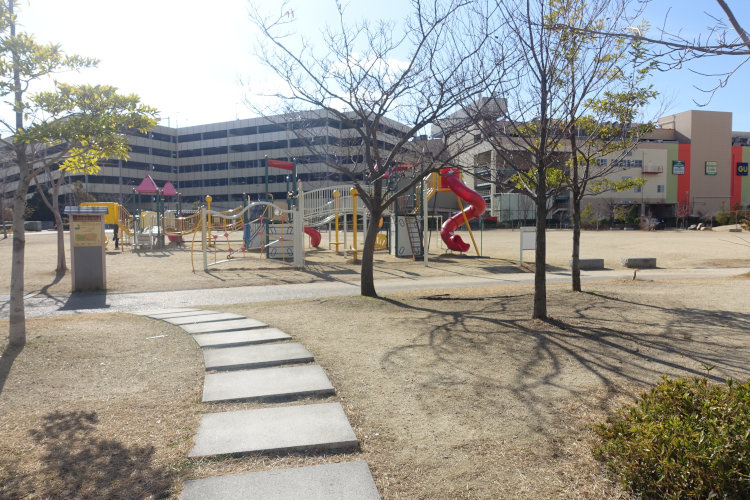 の画像