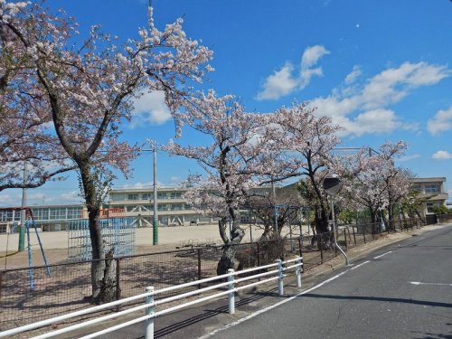 の画像