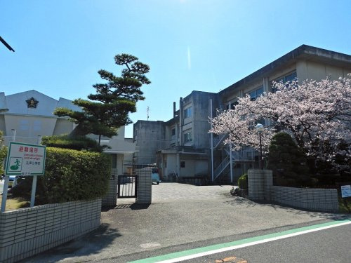 の画像