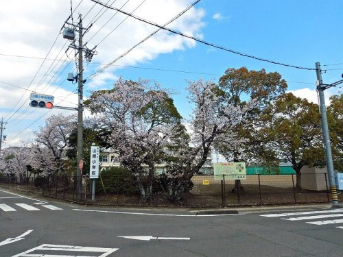 の画像