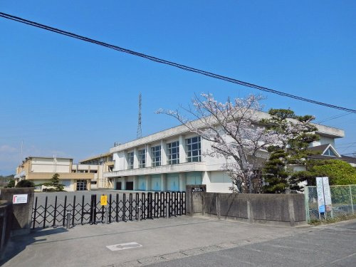の画像