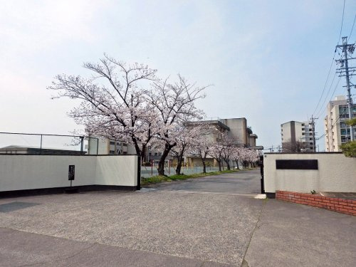 の画像