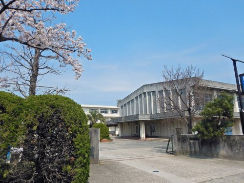 の画像