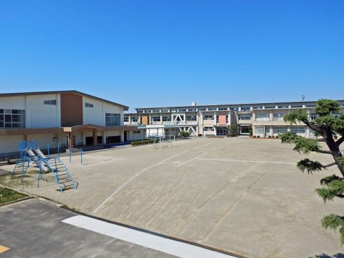 の画像