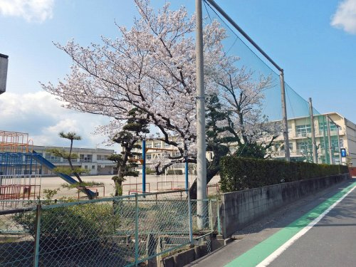の画像